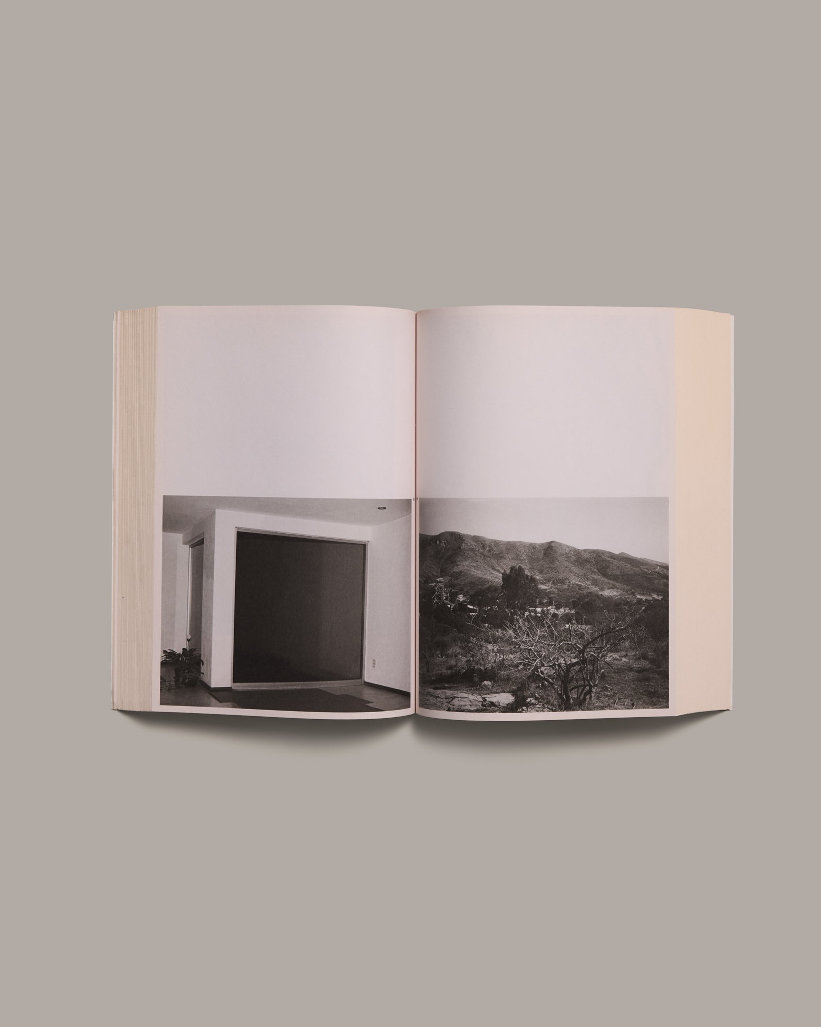 Aleix Plademunt - Matter