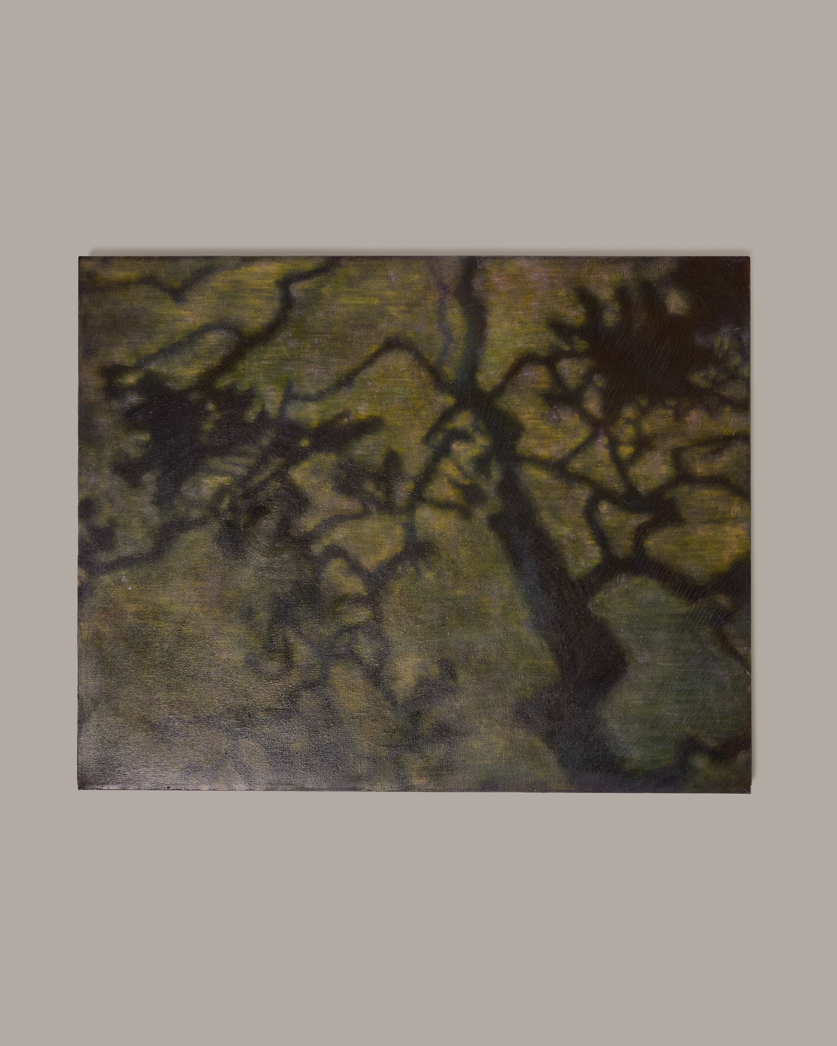 In Shade, 2025
