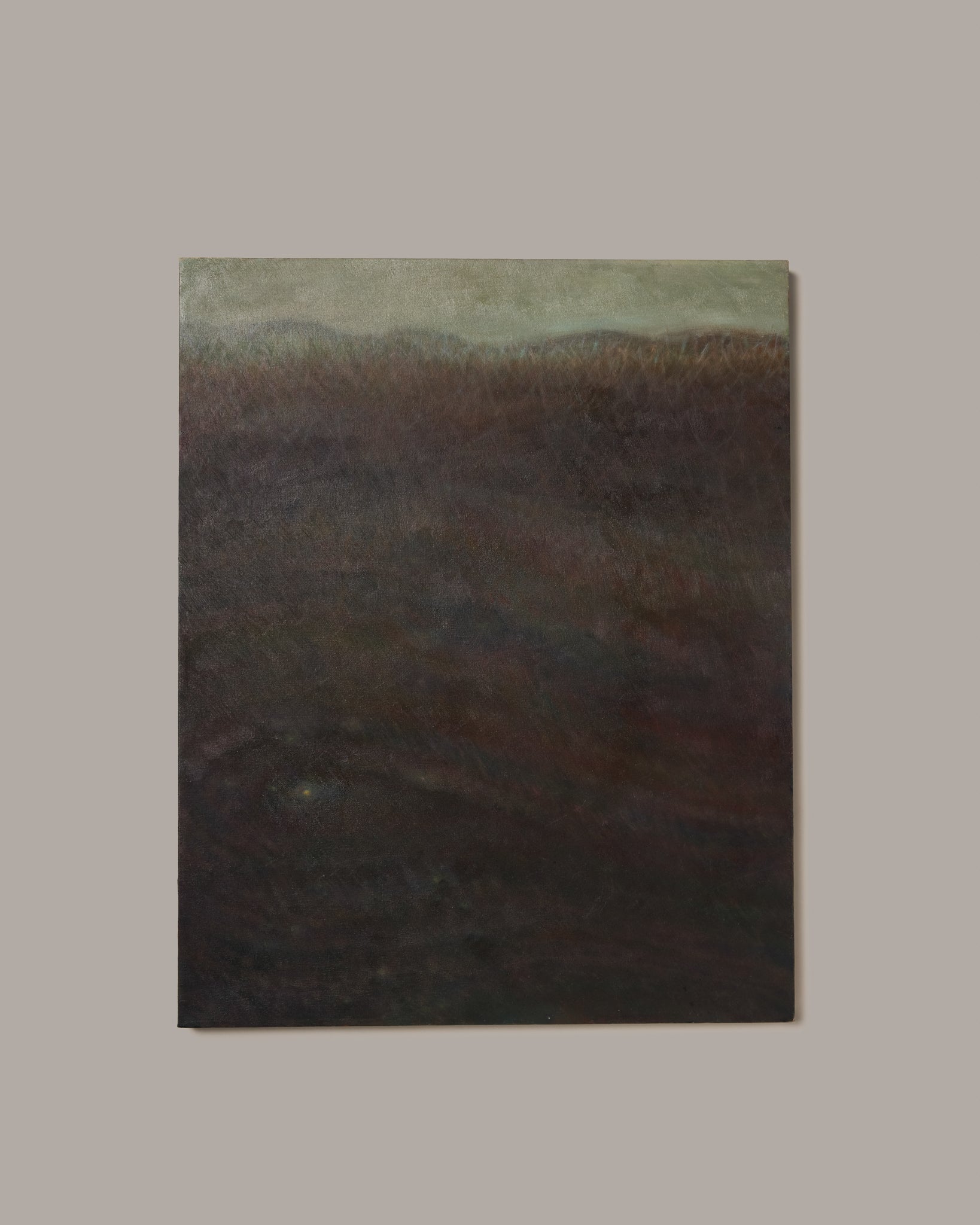 Warm Seed, 2025