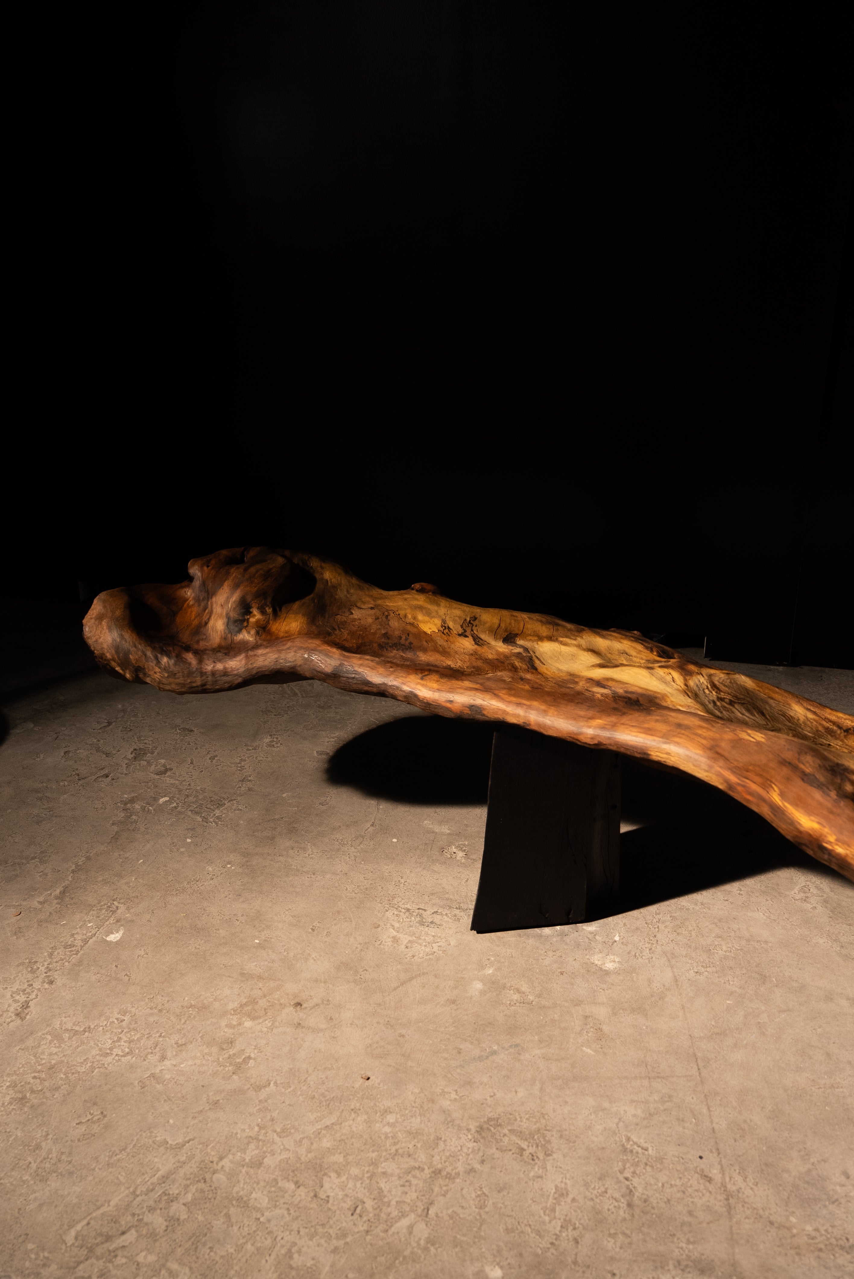 Eucalyptus Entwine Bench, 2024
