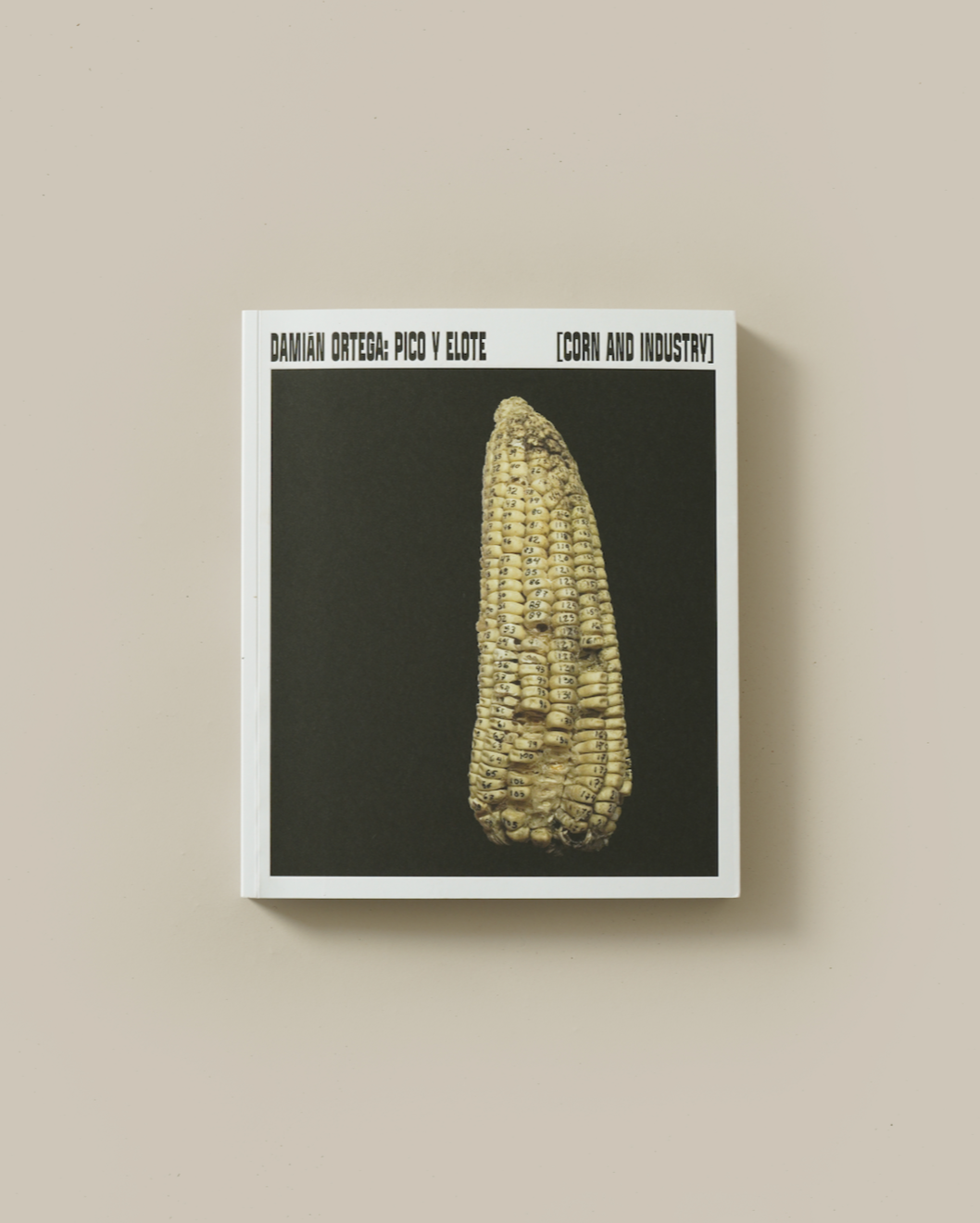Damian Ortega: Pico y Elote